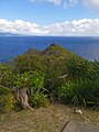 La pointe à l'Eau vue du fort Napoléon.