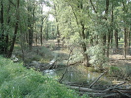 Natuur in Castelvisconti