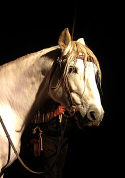 Listo, az Andalusiai ló a filmből.