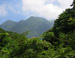 仲ノ沢林道より望む石棚山