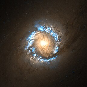 Pierścień w centrum NGC 1097 (HST)