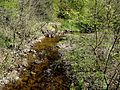 Bachlauf der Lörmecke im NSG