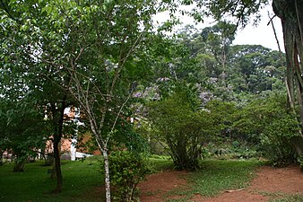 Parc municipal de Petrópolis.