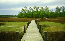 Boardwalk at Palmetto Islands County Park Palmetto Islands Park Boardwalk 2.jpg