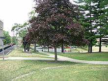 Photo taken from the perspective of where the Ohio National Guard soldiers stood when they opened fire on the students Perspective of Ohio National Guard at Kent State.JPG