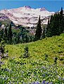 East aspect seen from Suiattle Pass