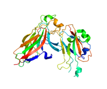 Protein EFNA1 PDB 3CZU.png