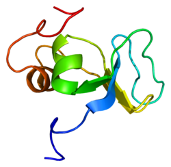 Protein LTBP1 PDB 1ksq.png