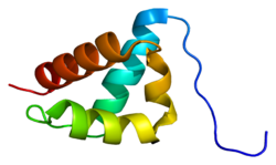 Протеин PRPF40A PDB 1uzc.png