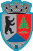 Coat of arms of Dărmănești