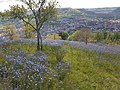 Vorschaubild der Version vom 05:42, 29. Mai 2019