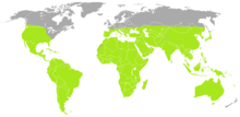 Carte du monde avec environ les 3/4 inférieurs en vert