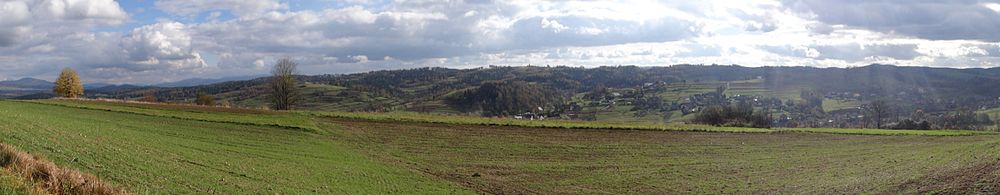 Widok od północnej strony na miejscowość Toporzysko oraz grzbiet Jawornika i Góry Ludwiki