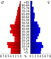 Bevolkingspiramide Reagan County