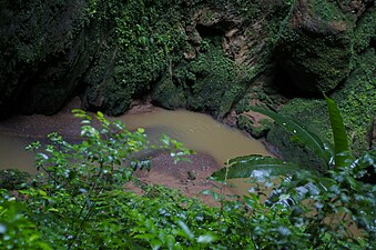 Underground Río Camuy in Camuy