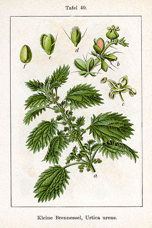 Fig. from book