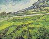 Van Gogh - Grünes Weizenfeld.jpeg