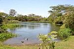 Miniatura para Instituto Nacional de Biodiversidad