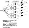 2007年11月11日 (日) 14:21時点における版のサムネイル