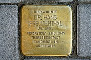 „Hier wohnte Dr. Hans Freudenthal“; Stolperstein vor dem Eingang Hasenberg 1 für den nach Theresienstadt Deportierten und 1943 im Konzentrationslager Auschwitz Ermordeten