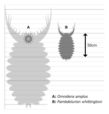 Omnidens and Pambdelurion オムニデンスとパンブデルリオン