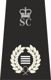 4Барс + SC + Crown.svg