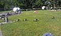 «Бильярдные шары» у озера Аазе в Мюнстере