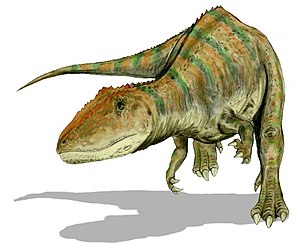 Carcharodontosaurus saharicus, teropod ze střední křídy žijící v Severní Africe