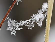 Freshly fallen snowflakes ComputerHotline - Snow crystals (by).jpg