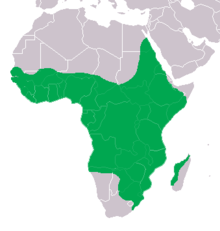 Crocodylus niloticus Distribution.png