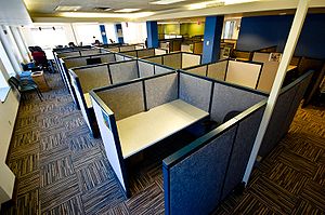 Cubicles in a now-defunct co-working space in ...