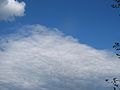 Cumulus congestus, joka leviää kumpukerrospilveksi Stratocumulus, koska pilven nousua estää inversiokerros.