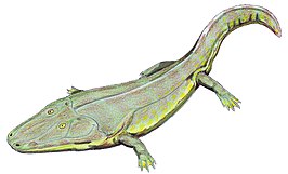 Cyclotosaurus