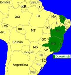 Mapa mostrando a distribuição de Ceiba erianthos nos estados de Bahia, Ceará, Espirito Santo, Minas Gerais e Rio de Janeiro.