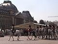 Timbalier et trompettes de l'Escorte royale, Belgique.