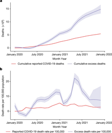 Global excess and reported COVID-19 deaths and deaths per 100,000 according to the WHO study Global excess and reported COVID-19 deaths and death rates per 100,000 population.webp