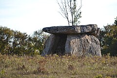 Dolmen du Coustalou