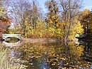 Zwei zusammenhängende Parkteiche im Schlosspark Herrnsheim