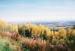 Autunno nell'Alaska centrale