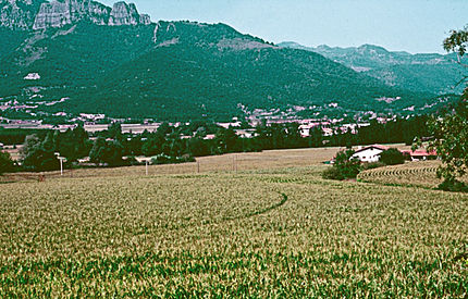 La Vall d'en Bas (Garrotxa), 21 d'agost de 2001