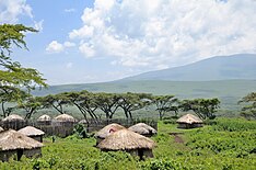 Wioska Masajów; Ngorongoro Conservation Area, Serengeti