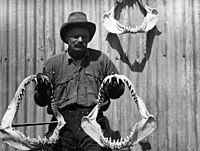 Man holding shark jaw bones