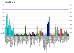 PBB GE CD44 204489 s at fs.png