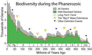 Apparent marine fossil diversity during the Phanerozoic Phanerozoic Biodiversity.png