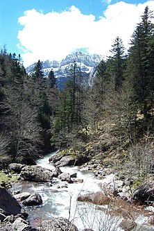 Az Oza erdőség a Pireneusokban, az Aragón forrásvidékén