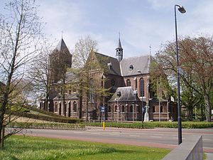 De O.L.V. Tenhemelopneming kerk te Reusel.