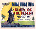 Rinty of the Desert (1928)