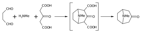 Tropinone synthese