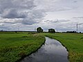 Der Schwarzbach zwischen Nauheim und Trebur. Blick in Richtung Norden.