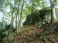 Руины Ситненского замка 5.JPG